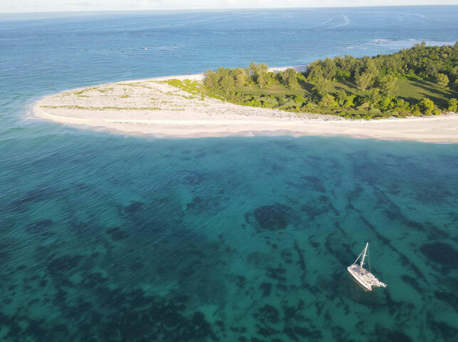 Bird Island